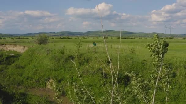 Evropská Včelka Merops Apiaster Usazená Klacku Rozhlédla Čistou Modrou Oblohou — Stock video