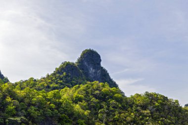 Kilim Geoforest Park, Langkawi, Malezya