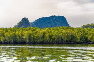 Kilim Geoforest Park, Langkawi, Malezya