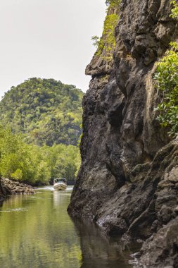 Kilim Geoforest Park, Langkawi, Malezya