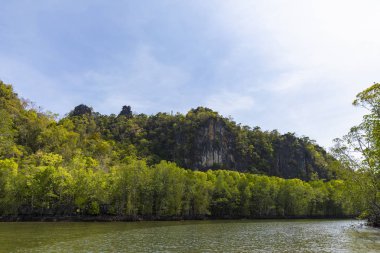 Kilim Geoforest Park, Langkawi, Malezya