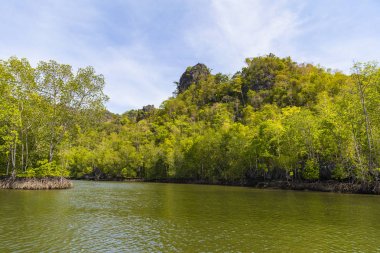 Kilim Geoforest Park, Langkawi, Malezya