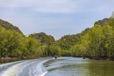 Kilim Geoforest Park, Langkawi, Malezya