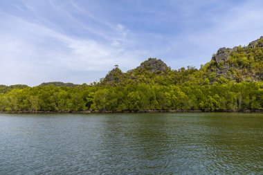 Kilim Geoforest Park, Langkawi, Malezya