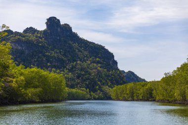 Kilim Geoforest Park, Langkawi, Malezya