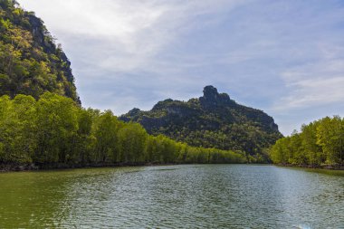 Kilim Geoforest Park, Langkawi, Malezya