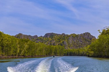 Kilim Geoforest Park, Langkawi, Malezya