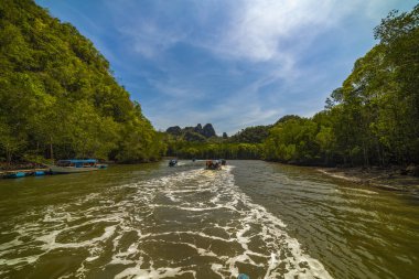Kilim Geoforest Park, Langkawi, Malezya