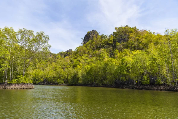 Kilim Geoforest Park, Langkawi, Malesia — kuvapankkivalokuva