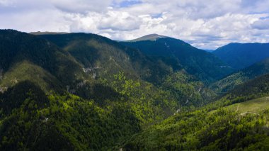 Dağ Sırtı Ormanı Kaplıyor. Dağ Manzarası.