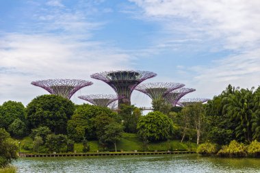 Singapur, 25 Nisan - 2019 - Supertrees At Gardens By The Ba