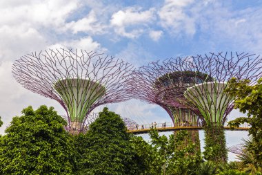 Singapur, 25 Nisan - 2019 - Supertrees At Gardens By The Ba