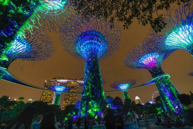 Singapur - 25 Nisan 2019 : Singapur Gece Skyline Gardens b at