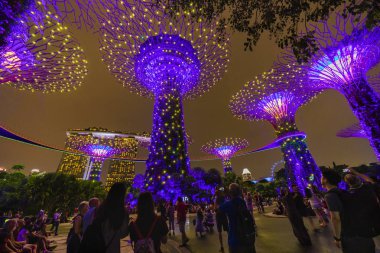 Singapur - 25 Nisan 2019 : Singapur Gece Skyline Gardens b at