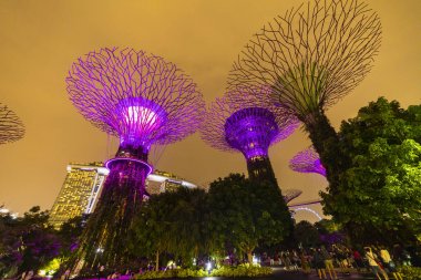 Singapur - 25 Nisan 2019 : Singapur Gece Skyline Gardens b at