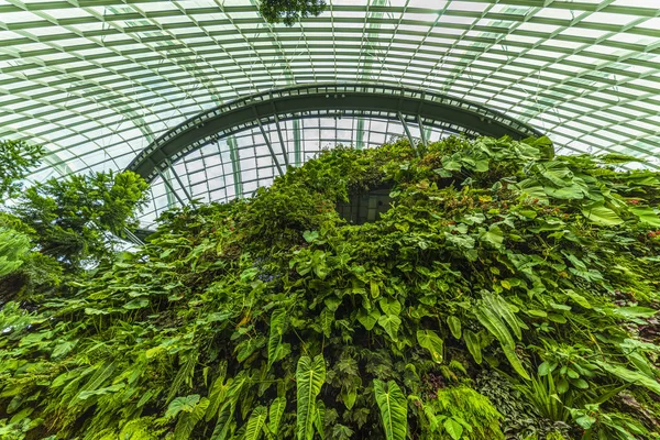 Gardens By the Bay, Cloud Forest Dome (en inglés). Singapur. abril 25, 2019 —  Fotos de Stock