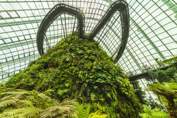 Kertek az öböl mellett, Cloud Forest Dome. Szingapúr. Április 25, 2019 — Stock Fotó