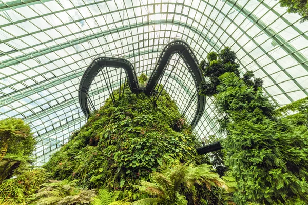 Kertek az öböl mellett, Cloud Forest Dome. Szingapúr. Április 25, 2019 — Stock Fotó