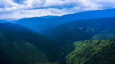 İğne yapraklı ormanlarla kaplı dağlar, havadan görünümü