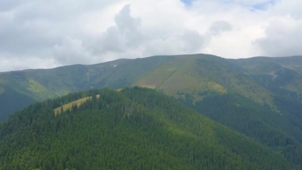 Volar Sobre Bosque Las Montañas Verano — Vídeos de Stock