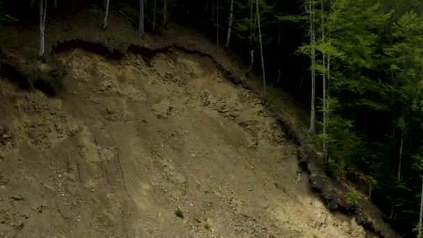 Survoler la forêt dans les montagnes en été 