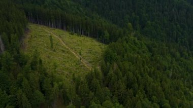 Yazın dağlarda ormanın üzerinden uçun