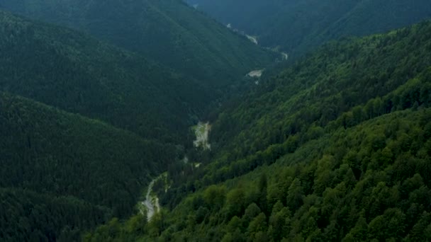 Flyga Över Skogen Fjällen Sommaren — Stockvideo