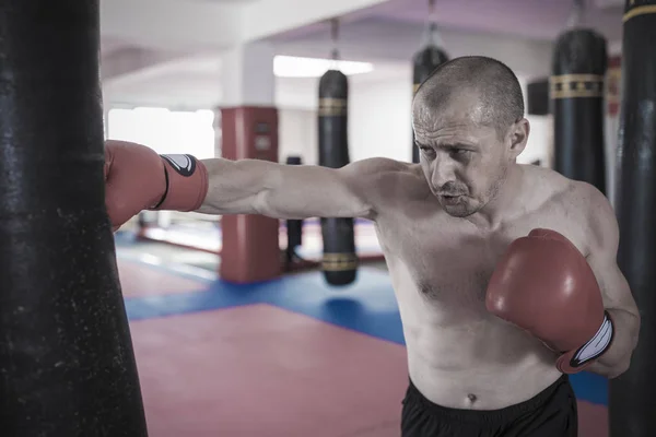 Muay thai lutador batendo o saco pesado no ginásio — Fotografia de Stock