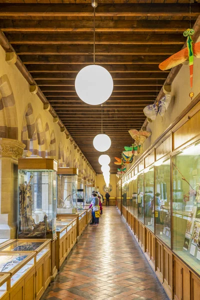 Oxford - İngiltere, 21 Ağustos 2019: Ünlü Oxford Üniversitesi Müzesi 