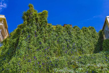 PALMA DE MALLORCA, İspanya - 12 Eylül 2019: Palma de Life 