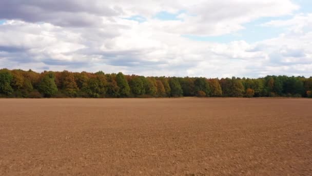 Szántott Föld Mezőgazdaság Légi Megtekintése — Stock videók