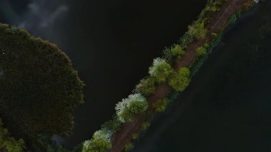 Kuşların Havadan Görünümü Bir Gölün Üzerinden Uçar, 4k