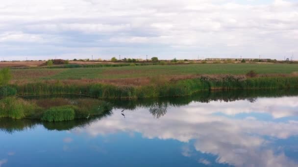 Letecký Pohled Ptáky Přeletět Přes Jezero — Stock video