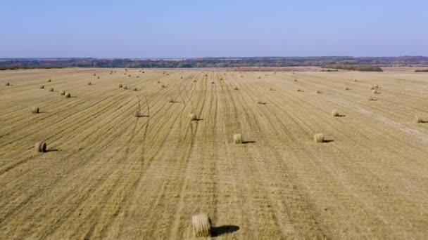 Strohballen Auf Einem Feld — Stockvideo