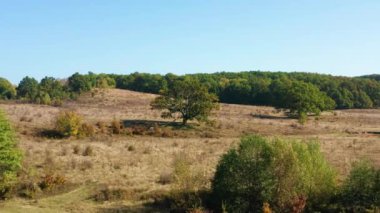 İHA Dev Meşe 'ye doğru uçuyor.