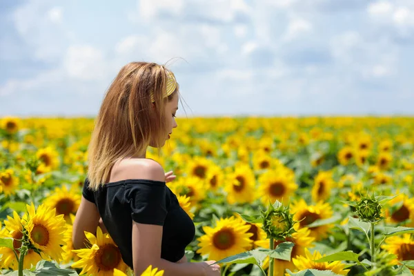 Mooie Jonge Vrouw Een Zonnebloemen Veld — Stockfoto