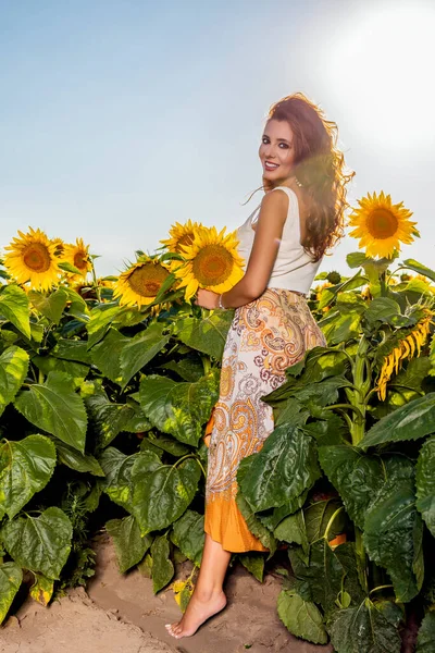 Schöne Frau Posiert Einem Sonnigen Sommertag Auf Dem Feld Mit — Stockfoto