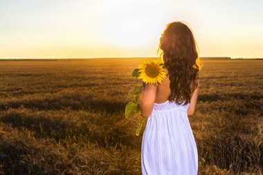 Buğday tarlasında beyaz elbiseli güzel bir kadın. Gün batımında ayçiçeğiyle..