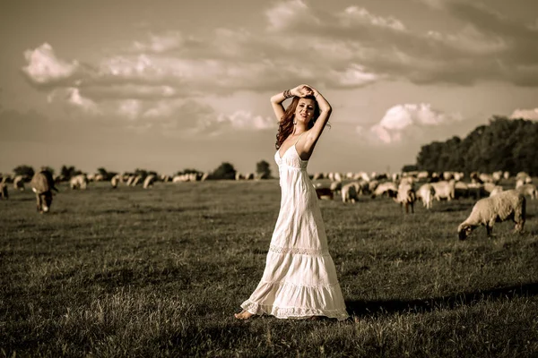 Schöne Frau Weißen Kleid Genießt Auf Wiesen Mit Schafen Hintergrund — Stockfoto