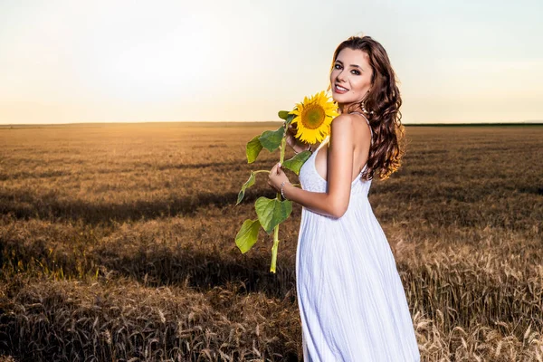 美丽的女人 身穿白衣 夕阳西下 带着葵花花 在麦田里 — 图库照片