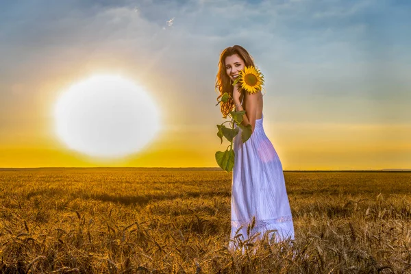 Mooie Vrouw Witte Jurk Een Tarweveld Met Een Zonnebloem Bij — Stockfoto