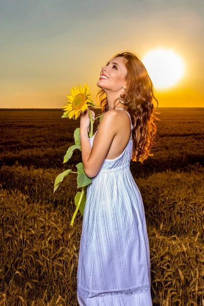 夕暮れ時にひまわりの花を持つ小麦畑の白いドレスの美しい女性 — ストック写真