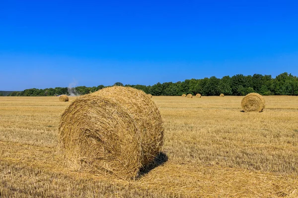 Valsar Höstack Fältet Som Jordbruks Skörd Koncept — Stockfoto