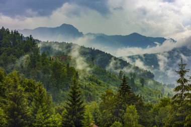 Dağlarda ve bulutlarda çam ağaçları olan güzel bir manzara.