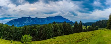 Dağlarda ve bulutlarda çam ağaçları olan güzel bir manzara.
