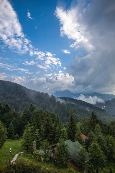 Bela Paisagem Com Pinhal Nas Montanhas Nuvens — Fotografia de Stock
