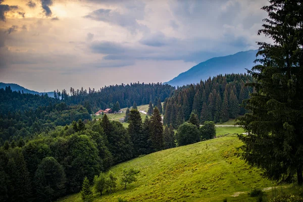 山や雲の中に松林と美しい風景 — ストック写真