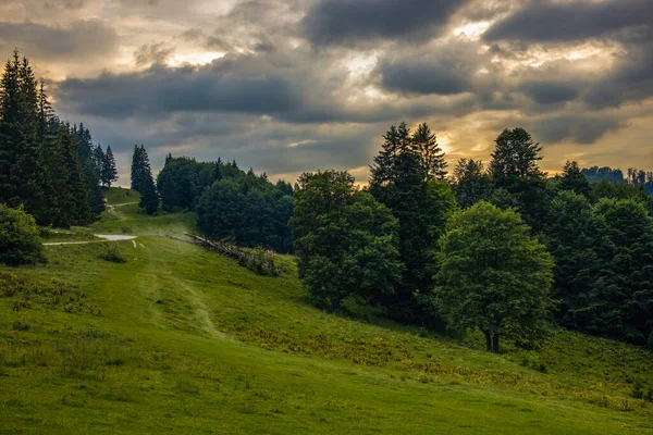 Hermoso Paisaje Con Bosque Pinos Las Montañas Nubes — Foto de Stock