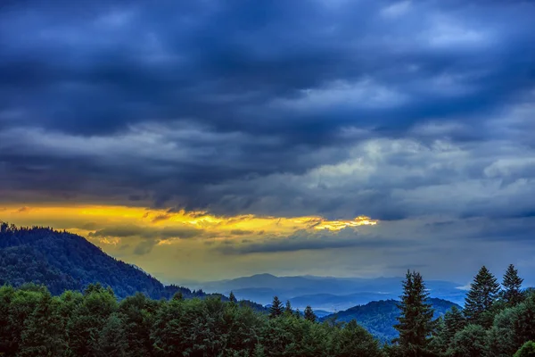 Hermoso Paisaje Con Bosque Pinos Las Montañas Nubes — Foto de Stock