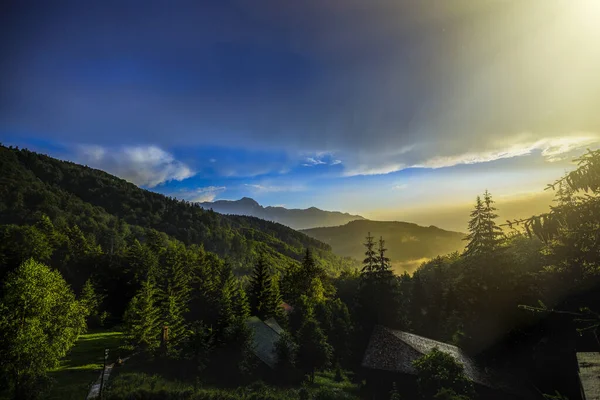 山や雲の中に松林と美しい風景 — ストック写真